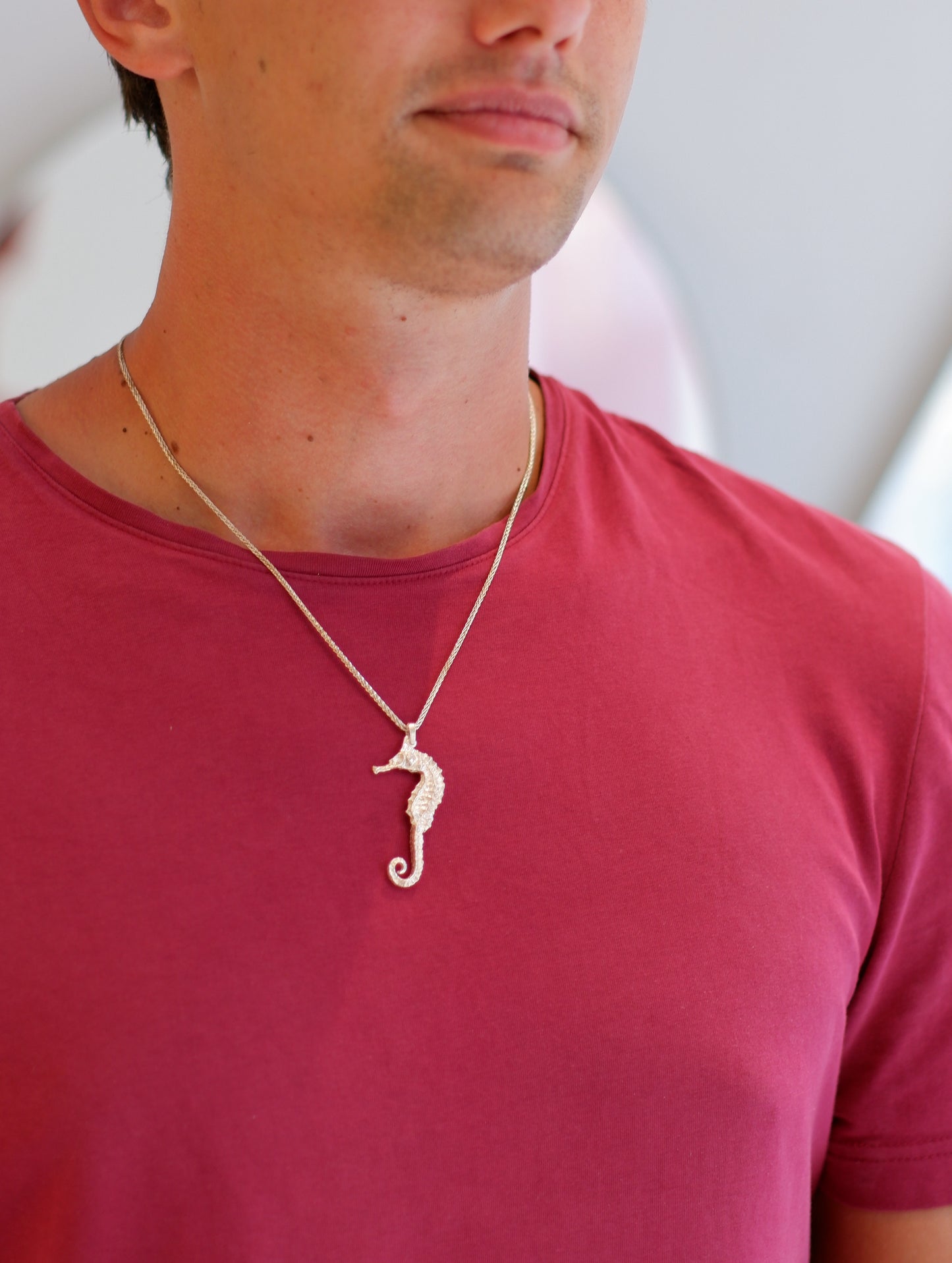 Seahorse lg
