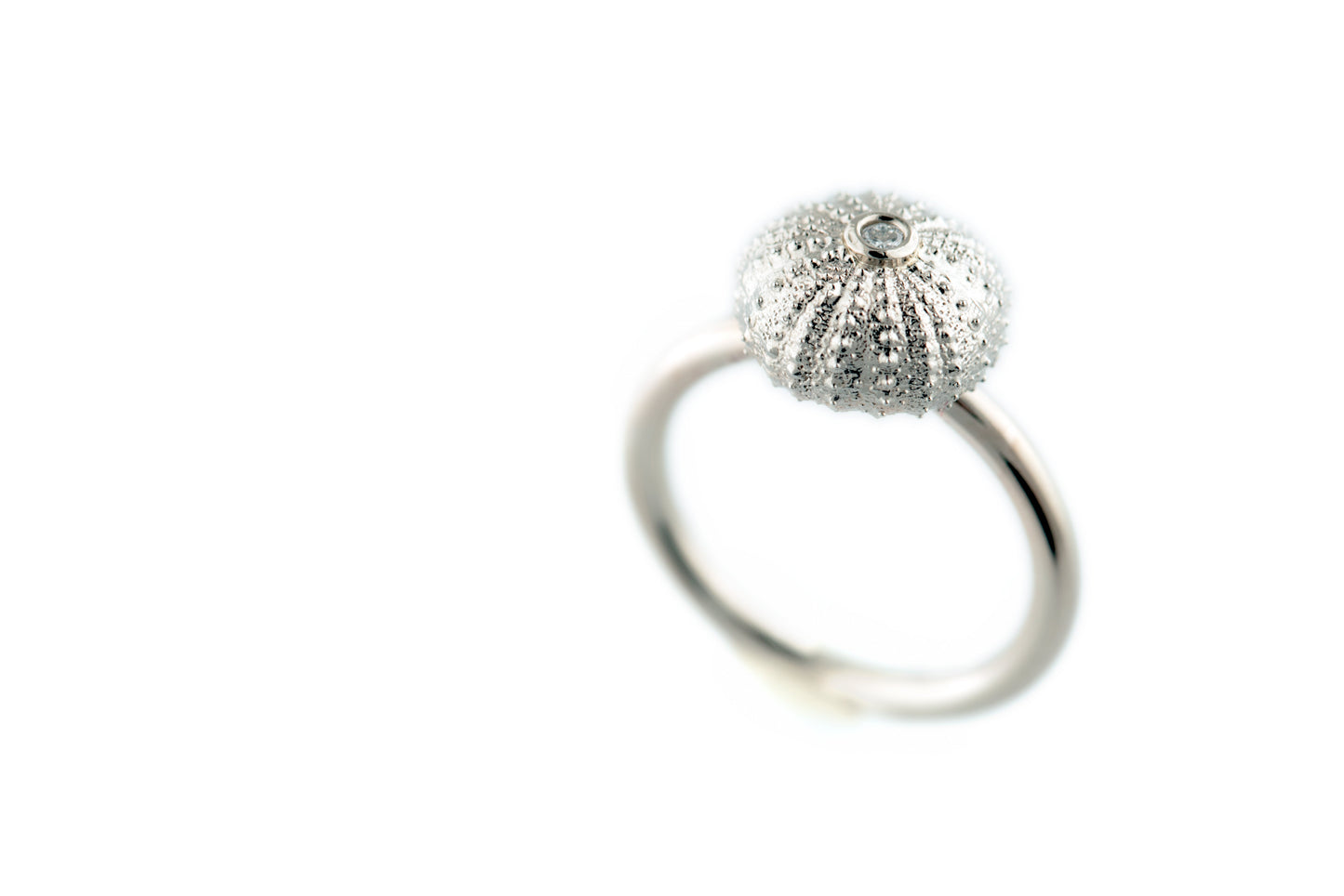Sea urchin 10 mm