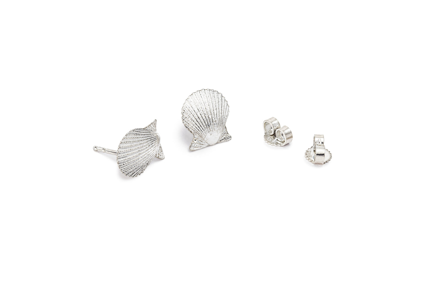 Scallop small