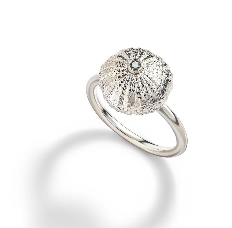 Sea urchin 13 mm