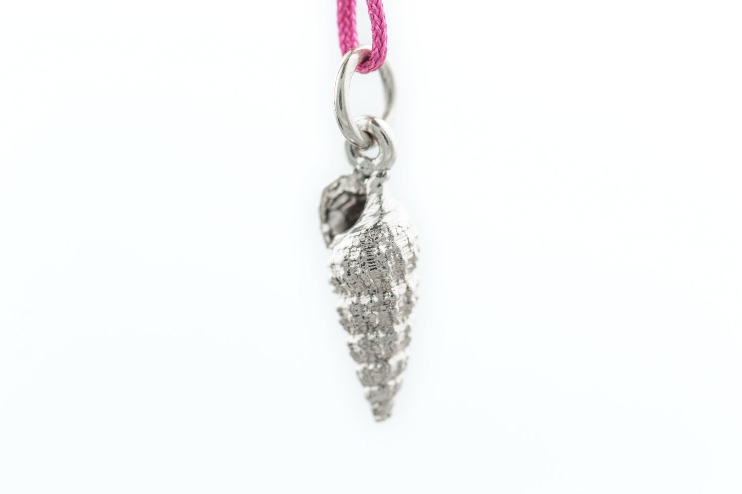 Cerithidae charm