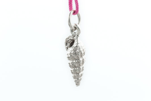 Cerithidae charm