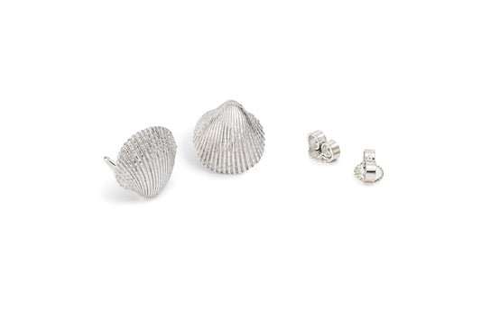 Clam small