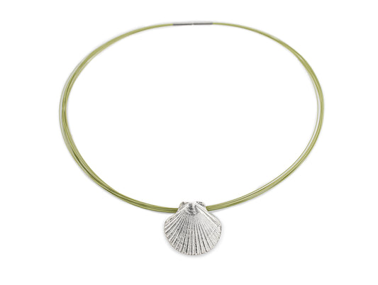 Flat scallop