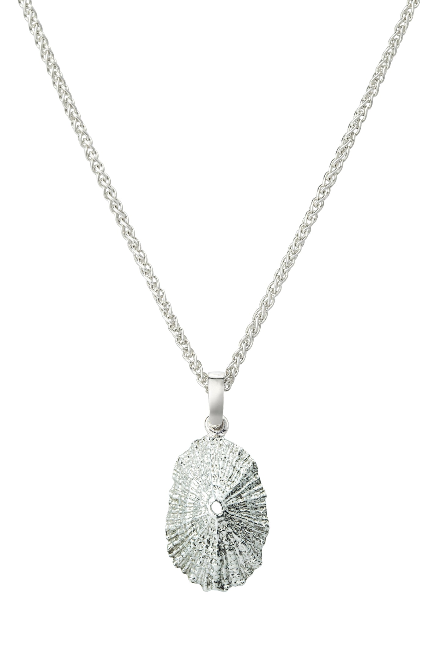 Limpet