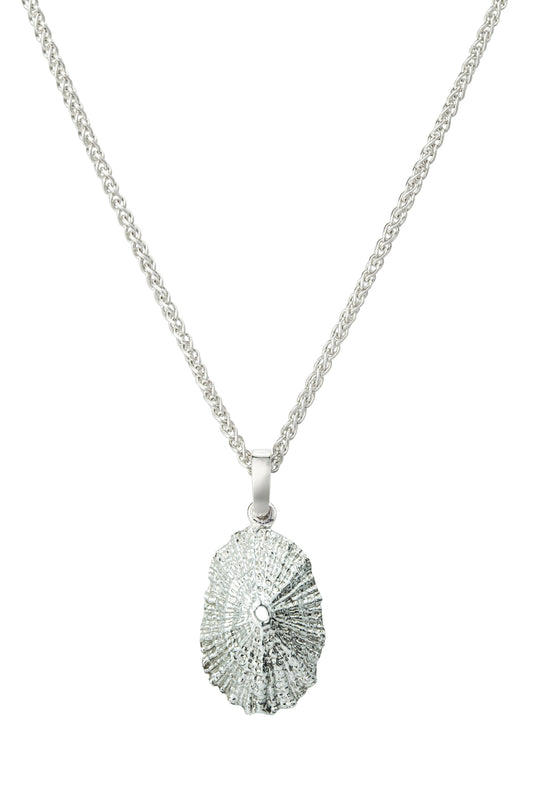 Limpet