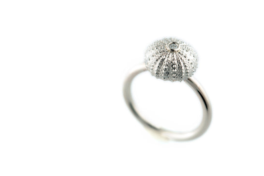 Sea urchin 10 mm