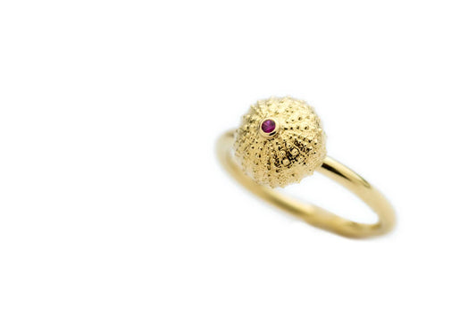 Sea urchin 8.5 mm