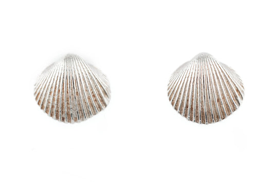 Clam tiny