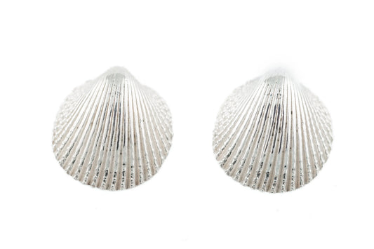 Clam lg