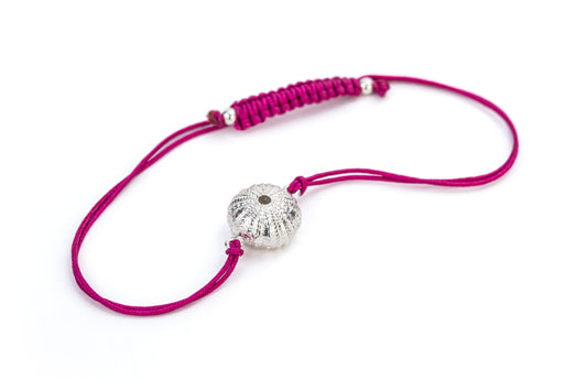 Sea urchin 13 mm
