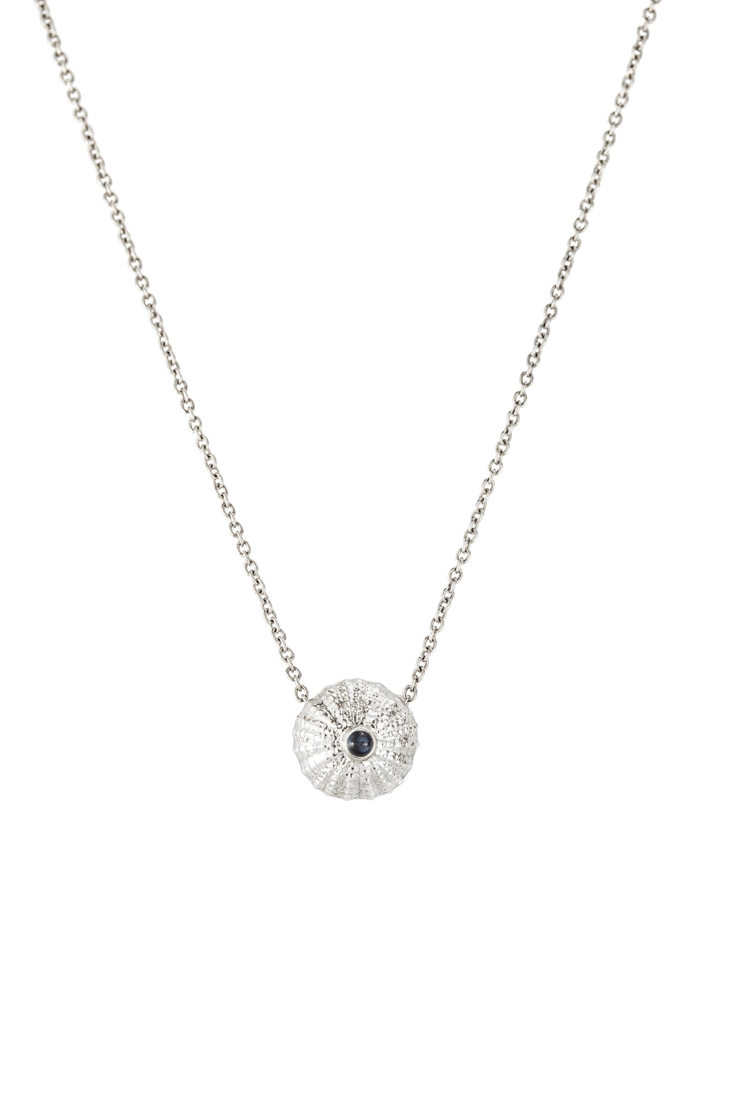 Sea urchin 10 mm