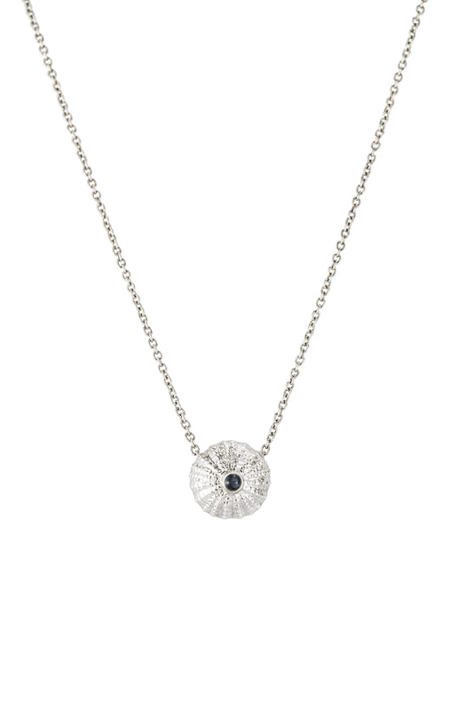Sea urchin 10 mm