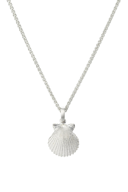 Scallop lg