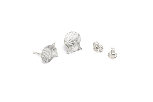 Scallop small